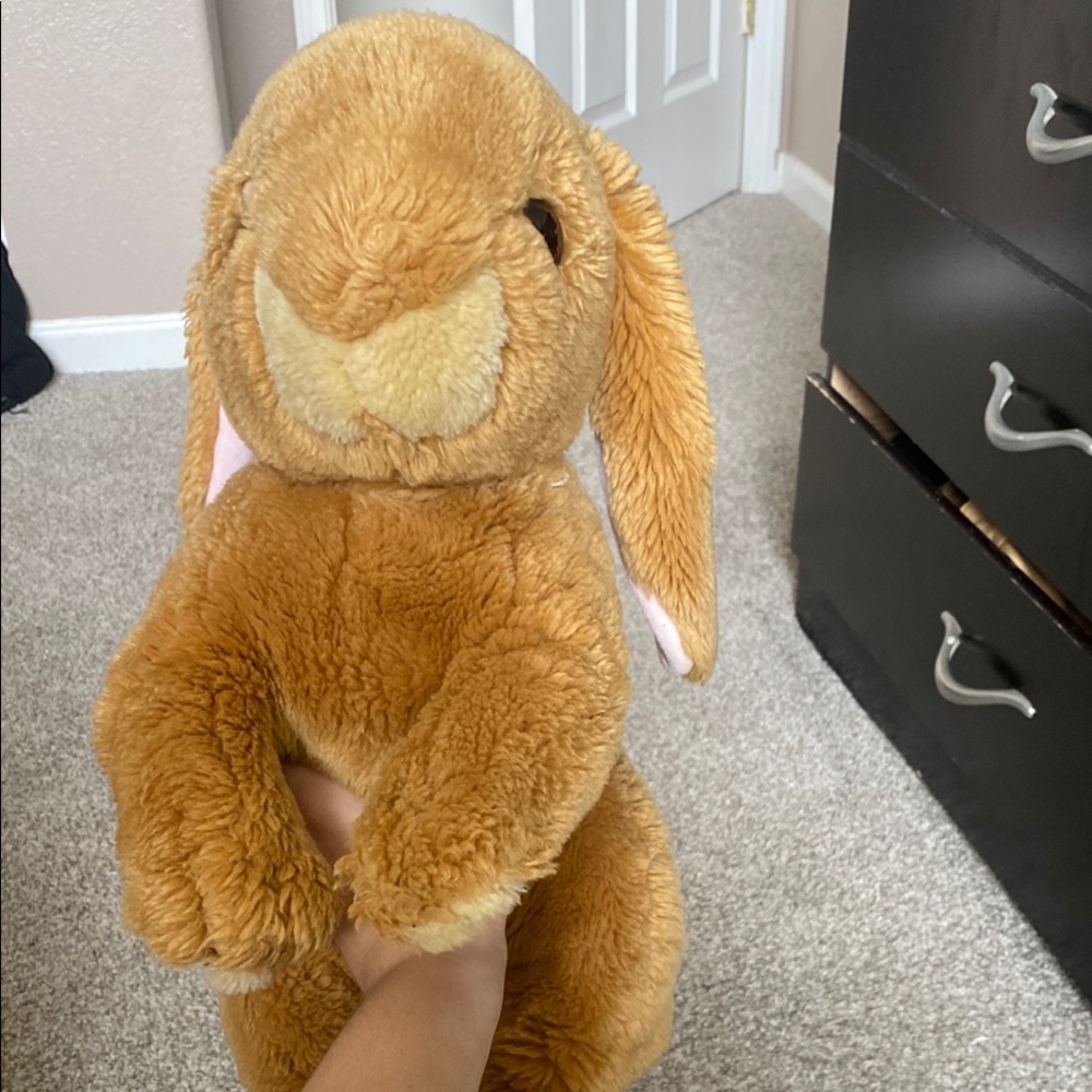 Abercrombie Bunny Plushy